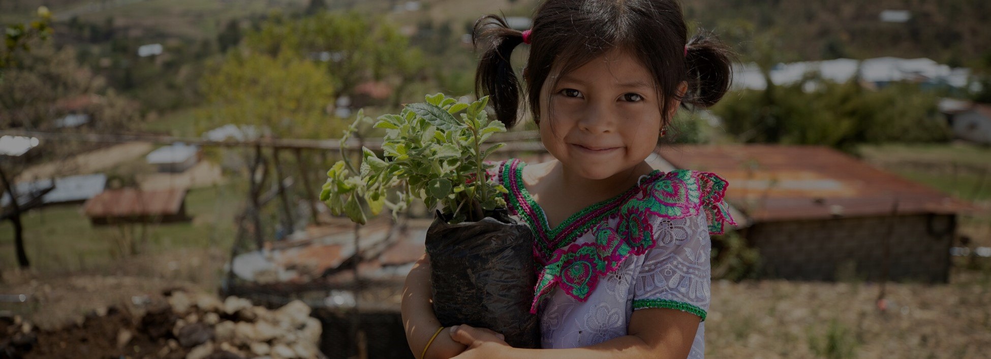 Smiling girl in a vibrant dress holds a small potted plant, standing outdoors in a rural setting.