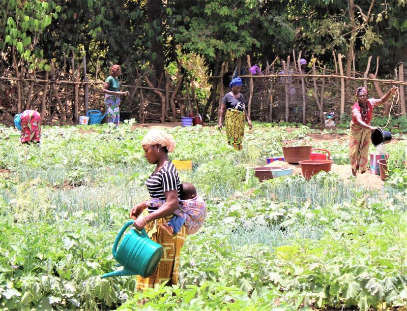 Watering Crops Mothers with children enrolled in ChildFund’s programs water their crops.