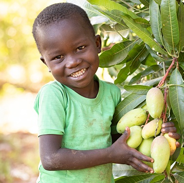 Fruit Trees