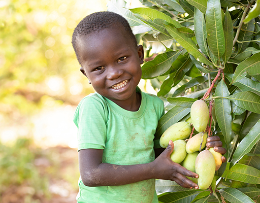 10 Fruit Trees